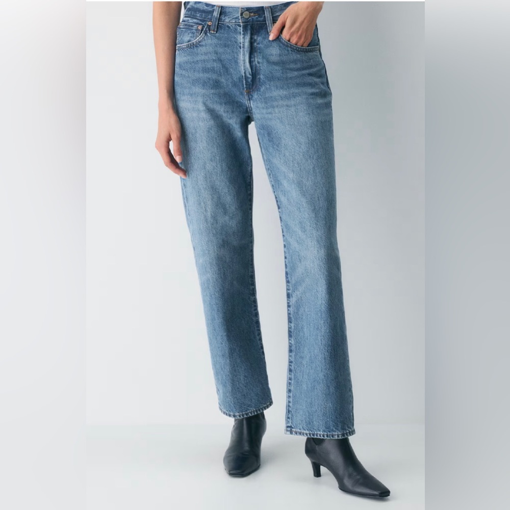 Aritzia Denim Forum Marlo Hi-Rise Loose Jean